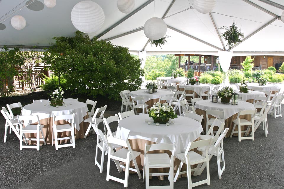 Irreplaceable Wetland Treble WITT Rental, Norwalk OH | Tent Table & Chairs for Weddings, and more